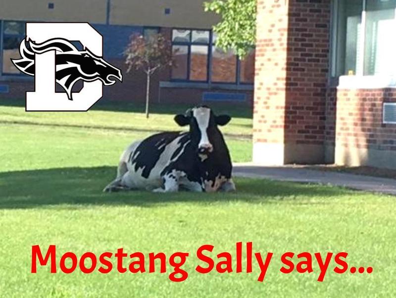 "Moostang